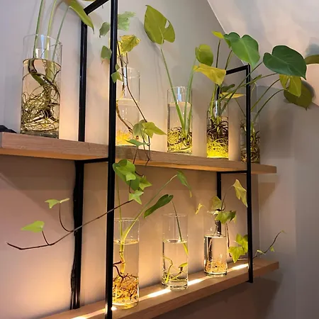 Dutch Design Vondelpark