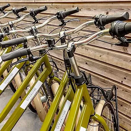Dutch Design Vondelpark Amsterdam