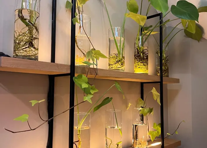 Dutch Design Vondelpark