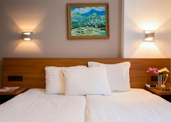 Otel Dutch Design Vondelpark 3*